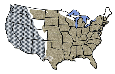 Owl Shack screech owls US Map