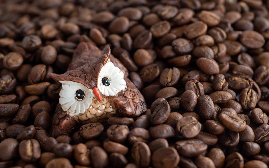 SHADE-GROWN COFFEE