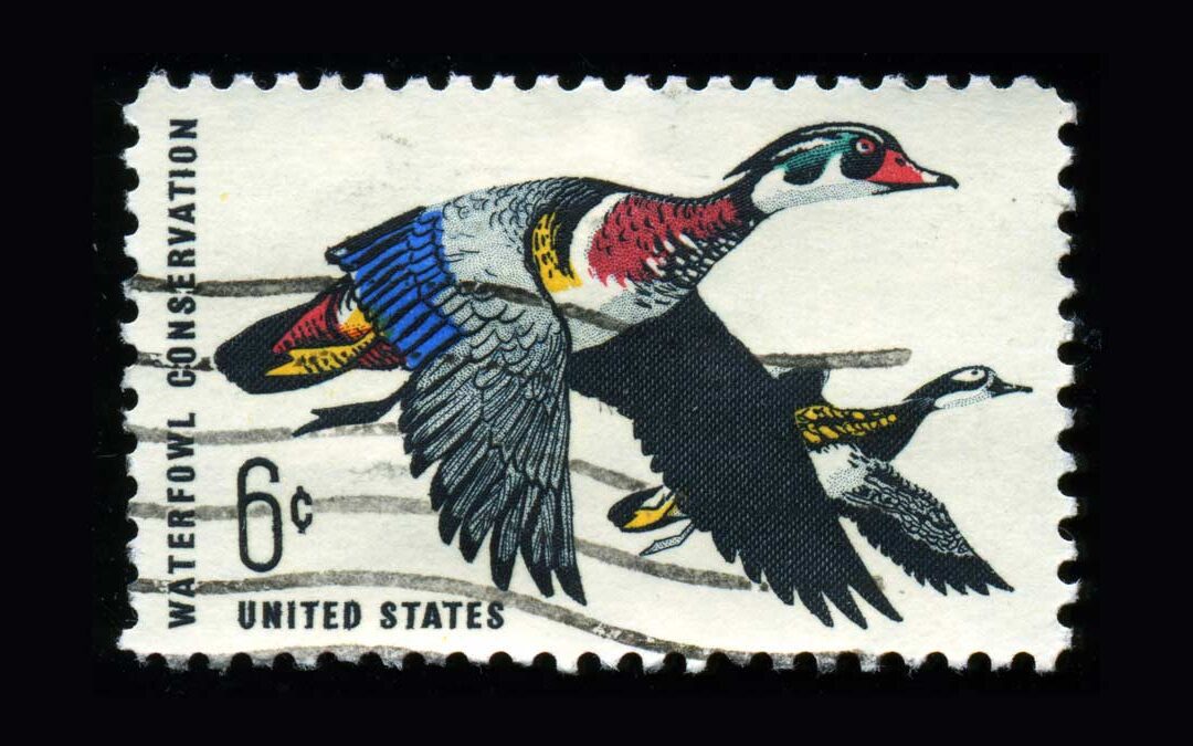 THE DUCK STAMP