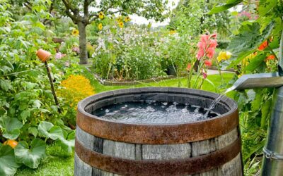 RAIN BARRELS