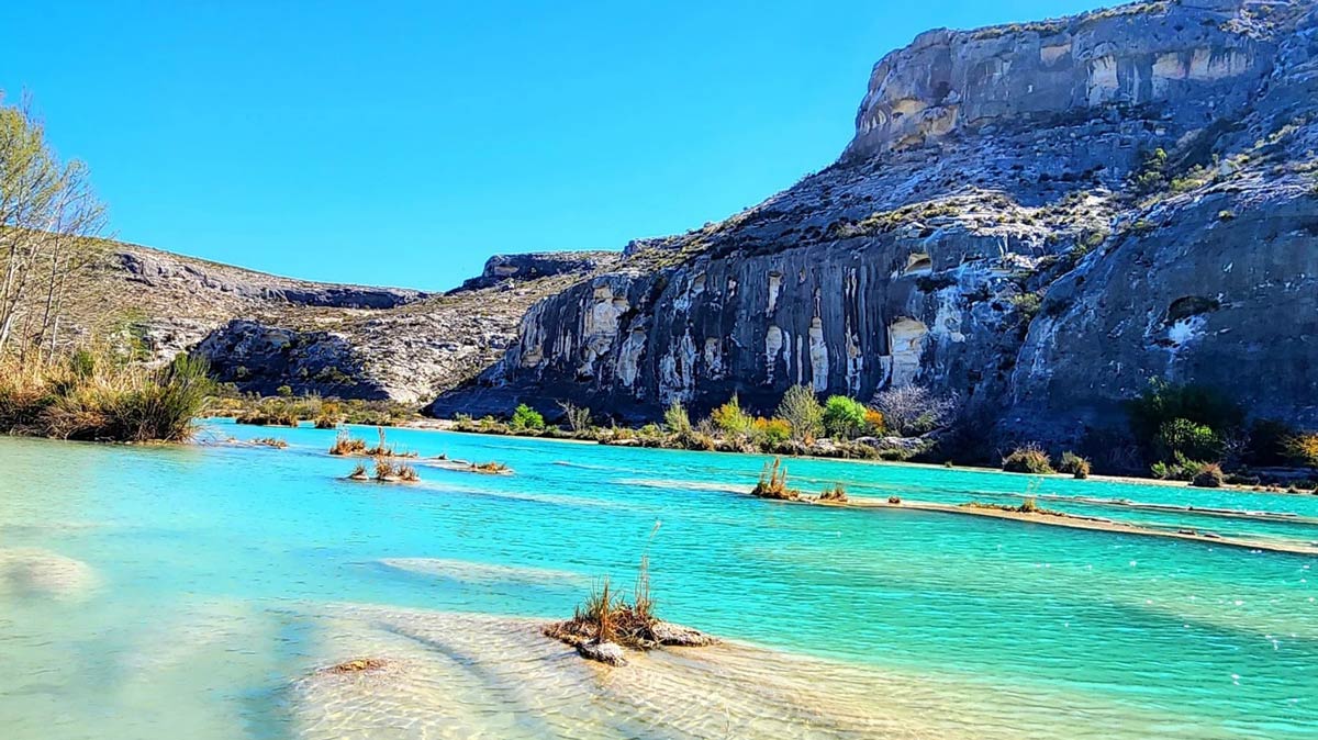 Owl Shack - scops owl Christmas