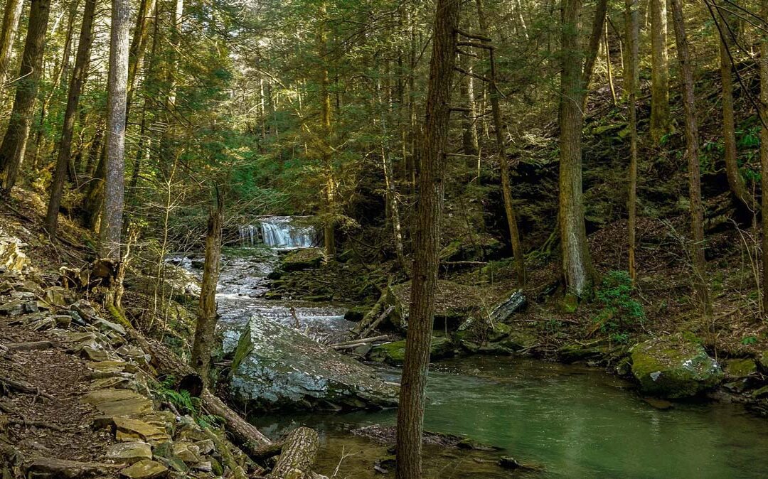 AVOID RUNOFF IN OUR WATERS