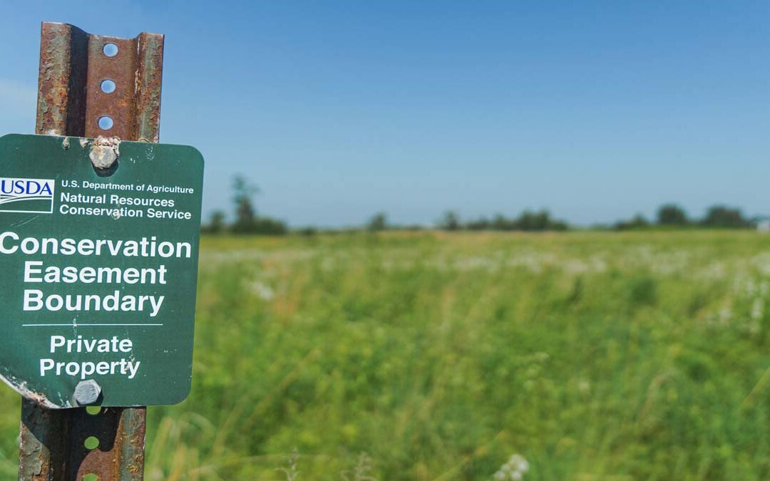 CONSERVATION EASEMENTS