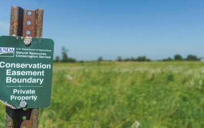 CONSERVATION EASEMENTS